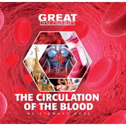 The circulation of blood